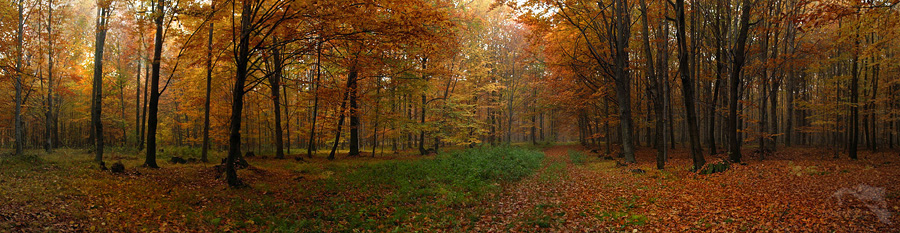 focení panoramy