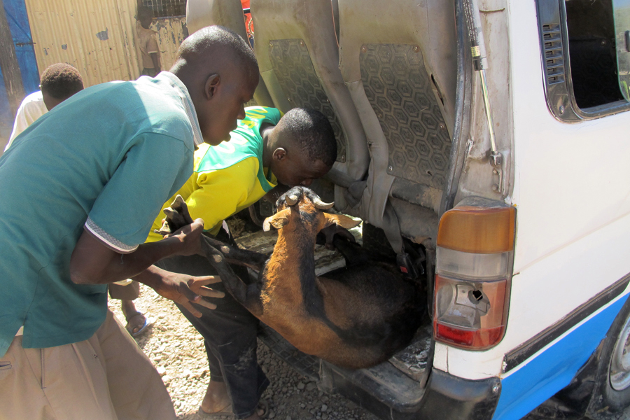 Kenya matatu